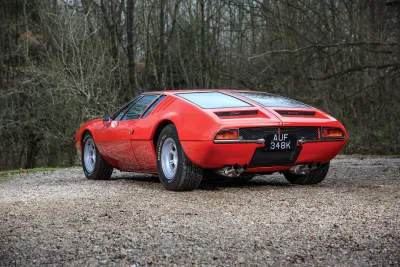 Mangusta